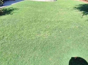 Juliee C.'s lawn maintenance service result