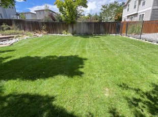 James C.'s Bush Trimming service result