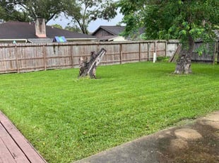 Tracy K.'s grass cutting service result