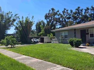 Vijay R.'s turf care service result