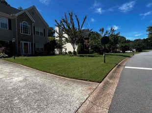 Ruth E.'s lawn maintenance service result
