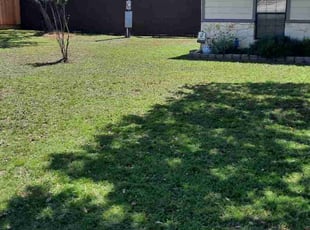 Gary M.'s lawn care service result