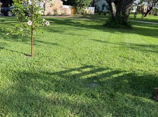 Callie H.'s lawn care services service result