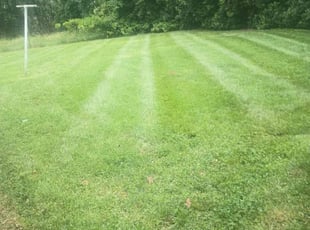 Karen H.'s lawn service service result