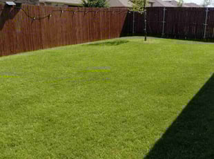 Hallie M.'s turf care service result