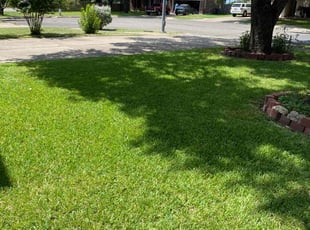 Julie B.'s grass cutting service result