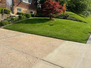 Angela G.'s yard service service result