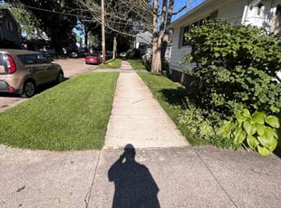 Pradeep P.'s turf maintenance service result
