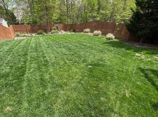 Cassandra W.'s lawn care services service result