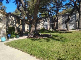 Doresa J.'s grass cutting service result