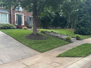 Alberte F.'s turf maintenance service result