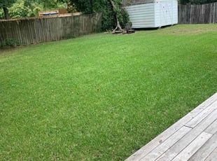 Shirlane S.'s lawn care service result