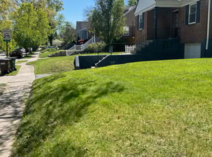 Jack B.'s grass maintenance service result