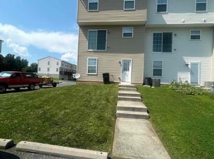 Adriene N.'s turf maintenance service result