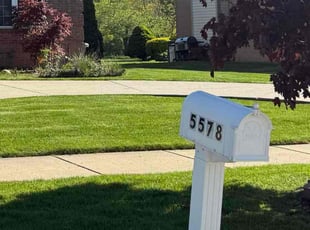 Adam A.'s turf maintenance service result