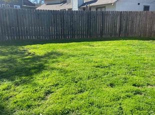 Marie C.'s lawn care service result