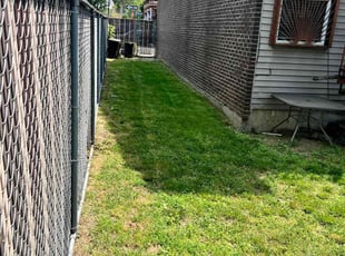 Violeta L.'s lawn care services service result