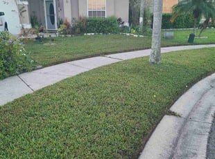 Steven J.'s turf care service result