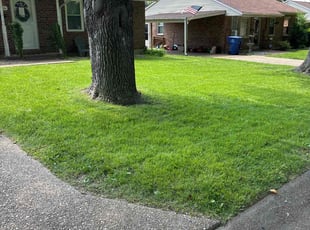 Karen S.'s turf care service result