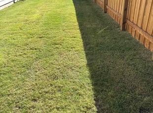 David Y.'s lawn care services service result