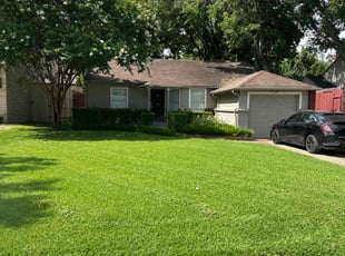 Joey H.'s turf care service result