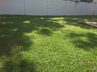 Bendu J.'s turf maintenance service result