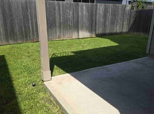Brenda B.'s grass maintenance service result