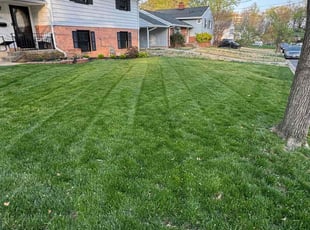 Tom M.'s turf maintenance service result