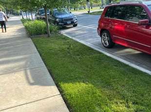 James M.'s lawn care services service result