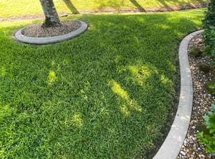 Carrie M.'s Long Grass Cleanup service result