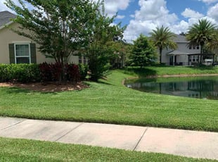 Jamillah O.'s lawn care services service result