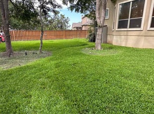 Katherina K.'s lawn care service result
