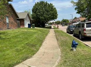 Braxton G.'s turf maintenance service result