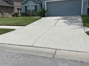 Rebecca R.'s turf care service result