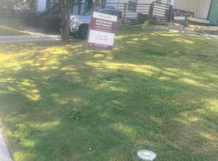 Mikki T.'s lawn service service result