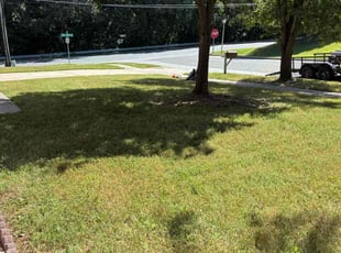William K.'s grass cutting service result
