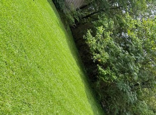 Gary B.'s turf maintenance service result