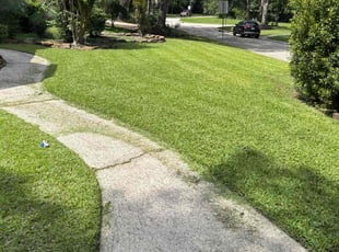 Carole L.'s grass maintenance service result