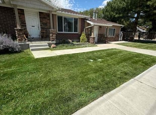 Sandi C.'s lawn maintenance service result