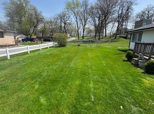Hugh F.'s lawn care services service result