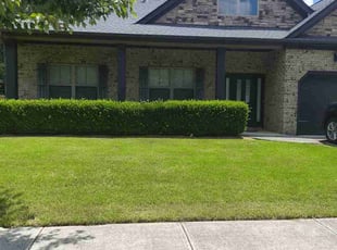 Brandy H.'s lawn maintenance service result