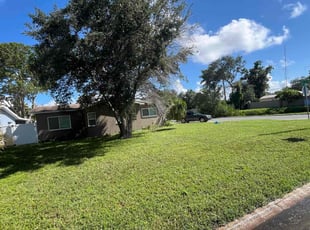 Erik G.'s grass maintenance service result