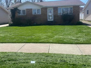 Rick K.'s grass maintenance service result