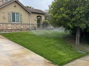 Tara T.'s grass cutting service result