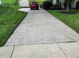 Debra G.'s turf care service result