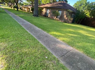 Martha D.'s turf care service result