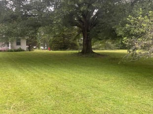 Joseph M.'s turf maintenance service result