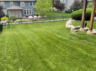 Kelly C.'s landscape maintenance service result