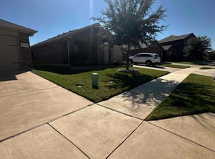 David T.'s grass cutting service result