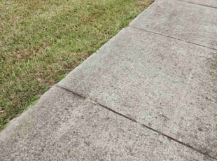 Christopher M.'s lawn service service result